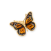 24 Karat Gold Plated Baltic Amber Monarch Butterfly Ring